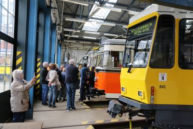 Führungen durch die historische Sammlung