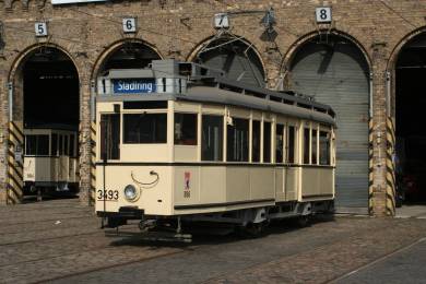 Triebwagen 3566 (TM 36)
